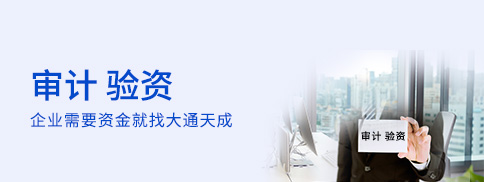 審計、驗資 審計、驗資